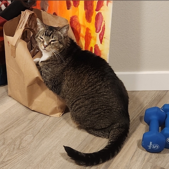 Meet Alex and Melon! - Picture 4 of 5